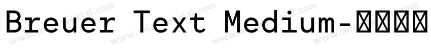 Breuer Text Medium字体转换